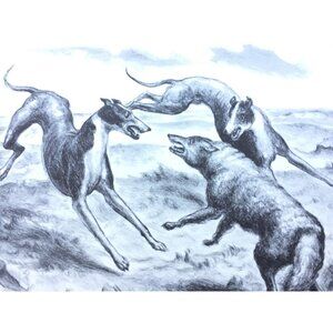 John Steuart Curry Hounds and Coyote Vintage Print Lithograph 25969